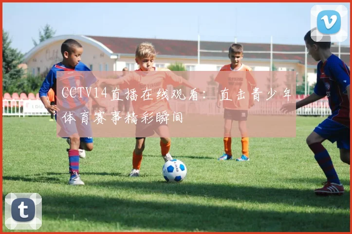 CCTV14直播在线观看:直击青少年体育赛事精彩瞬间