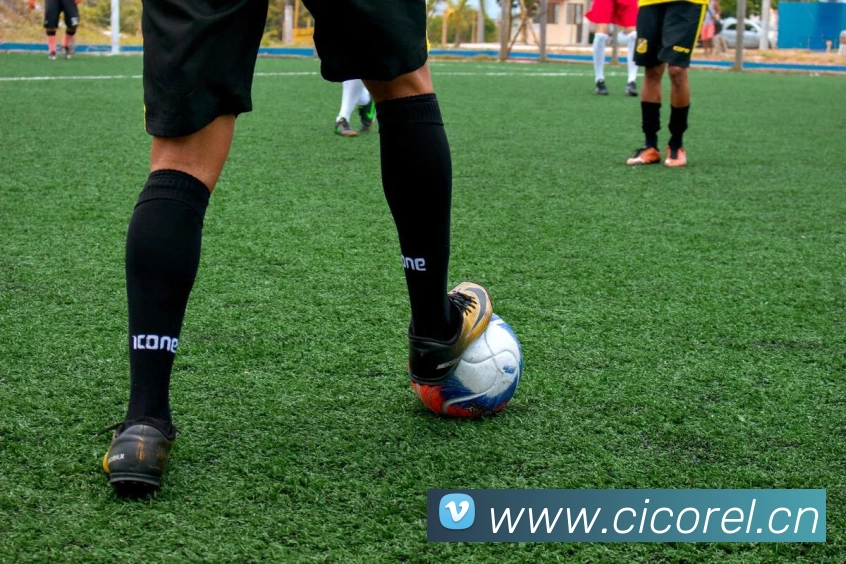 博亚体育app官网入口发展历程