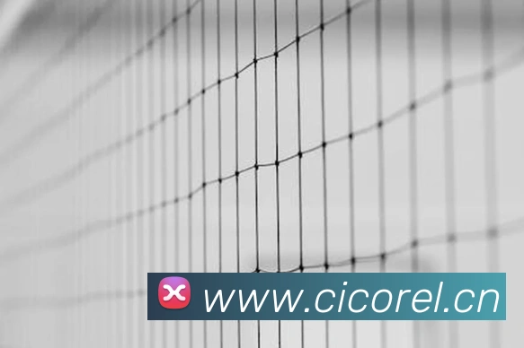 BE七007手机足球比分：追踪热门联赛，洞悉比赛胜负关键